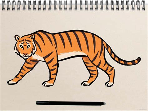 easy sketch of a tiger.